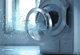 夏普洗衣机服务管理系统教导↑半自动洗衣机波轮异响原因及解决方法