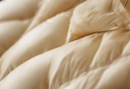 洗衣机羽绒服洗涤技巧：三步轻松洗净不留痕