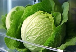 冰箱里包菜能保存多久？揭秘保鲜小技巧