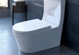 智能马桶真的智能吗？揭秘其功能与优势