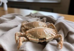 大闸蟹冬天怎么存放最合适？