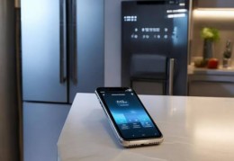 容声461立升冰箱：节能环保家用神器，打造品质生活新体验