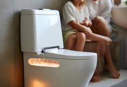 单县智能马桶购买指南：市场盘点与选购建议