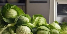 美菱冰箱24小时服务线解析√冬季囤菜攻略：哪些白菜适合放冰箱保鲜？
