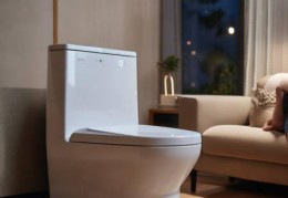 智能马桶风速调节技巧，轻松享受舒适体验