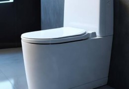 浙江智能马桶选购攻略：轻松找到最适合你的产品
