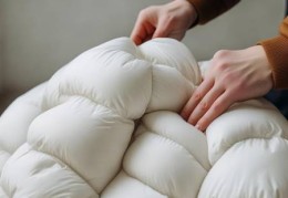 大宇壁挂洗衣机羽绒服清洗技巧分享