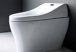 Toto智能马桶评测：舒适体验，细节决定品质