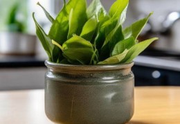 冰箱积水除臭妙招，告别异味困扰